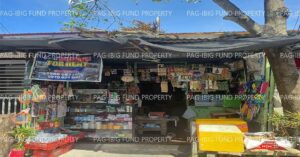 Pag-IBIG ROPA # 815202601260042 - Lot 19 Blk. 11 Phase 1 CASTILLON HOMES PASONG KAWAYAN II, CITY OF GENERAL TRIAS, CAVITE, 4107 - 1st Public Auction on Jun. 22, 2026 - Jun. 26, 2026 (Occupied)