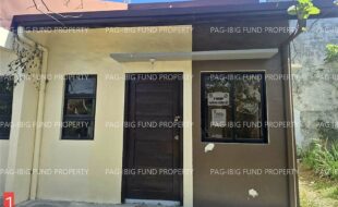 fil1520260220414