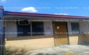fil1520260325130