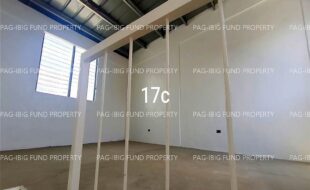 fil1520260408213