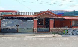 fil1520260422199