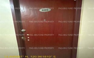 fil1520260519354