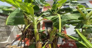 Pag-IBIG ROPA # 815202605200047 - Lot 41 Blk. 30 GENTREE VILLAS PASONG KAWAYAN I, CITY OF GENERAL TRIAS, CAVITE, 4107 - 1st Public Auction on Jul. 6, 2026 - Jul. 10, 2026