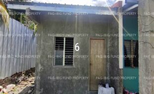 fil1520260604124