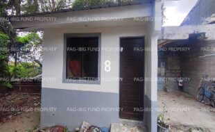 fil1520260604126