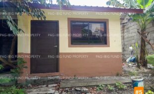 fil1520260604244
