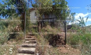 fil1520260623085