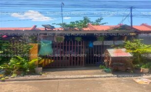 fil3420250410001