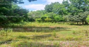 Pag-IBIG ROPA # 834202503310001 - Lot 2-B-6 NON-SUBDIVISION MALLABO, SAN MARIANO, ISABELA, 3332 - 2nd Public Auction on Jul. 6, 2026 - Jul. 10, 2026