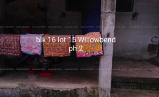 fil4020210727027
