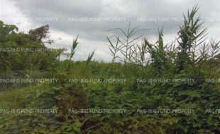 fil4020220803006