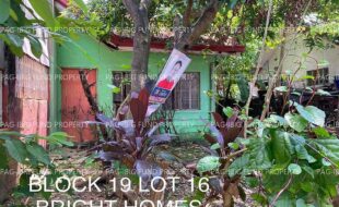 fil4020220827032