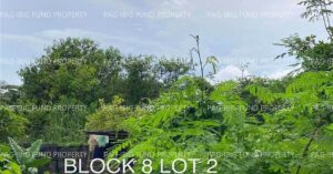 Pag-IBIG ROPA # 804219063000076 - Lot 2 Blk. 8 RL DAVID SUBDIVISION CULIS, HERMOSA, BATAAN, 2111 - Negotiated Sale on Jul. 6, 2026 - Jul. 10, 2026