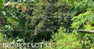 Pag-IBIG ROPA # 804219063000097 - Lot 13 Blk. 1 HAPPY VALLEY HAPPY VALLEY, DINALUPIHAN, BATAAN, 2110 - Negotiated Sale on Jul. 6, 2026 - Jul. 10, 2026