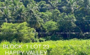 fil4020220927012