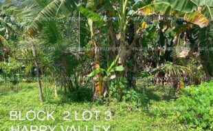 fil4020220927026