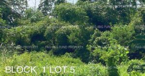 Pag-IBIG ROPA # 804219063000053 - Lot 5 Blk. 1 HAPPY VALLEY HAPPY VALLEY, DINALUPIHAN, BATAAN, 2110 - Negotiated Sale on Jul. 6, 2026 - Jul. 10, 2026