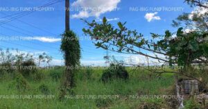 Pag-IBIG ROPA # 804121073100131 - Lot 8 Blk. 7 ADORABLE VILLAGE TAMBO ADORABLE, SAN LEONARDO, NUEVA ECIJA, 3102 - Negotiated Sale on Jul. 6, 2026 - Jul. 10, 2026