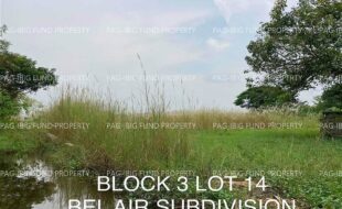 fil4020221020019