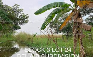 fil4020221020024