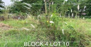 Pag-IBIG ROPA # 804019063000726 - Lot 10 Blk. 4 BEL-AIR SUBDIVISION SAN FELIPE, CITY OF SAN FERNANDO (CAPITAL), PAMPANGA, 2000 - Negotiated Sale on Jul. 6, 2026 - Jul. 10, 2026