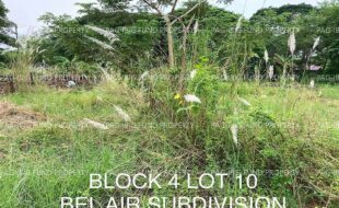 fil4020221020027
