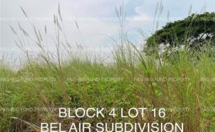 fil4020221020030