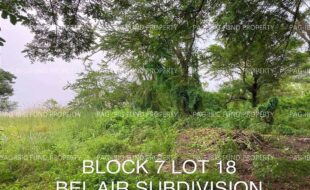 fil4020221020032