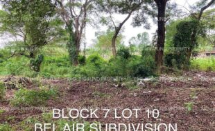 fil4020221020036