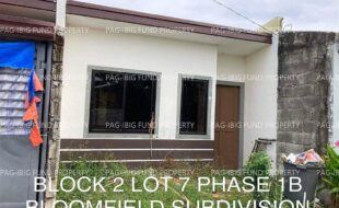 fil4020230111014