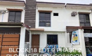 fil4020230111036