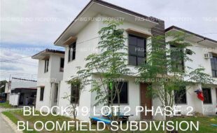 fil4020230111037