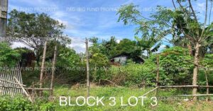 Pag-IBIG ROPA # 804219063000088 - Lot 3 Blk. 3 NON-SUBDIVISION HAPPY VALLEY, DINALUPIHAN, BATAAN, 2110 - Negotiated Sale on Jul. 6, 2026 - Jul. 10, 2026