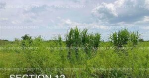 5,607 Pag IBIG Foreclosed Properties in July 2026 Listings (1st update) 22 Pag-IBIG ROPA # 804019063000196 - Lot 2959-A-10-H-9 Section 12 NON-SUBDIVISION SAN ANTONIO, BACOLOR, PAMPANGA, 2001 - 2nd Public Auction on Jul. 6, 2026 - Jul. 10, 2026