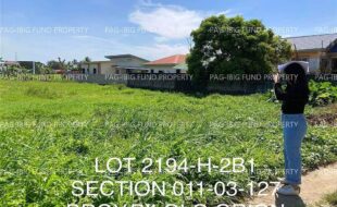 fil4020230220025