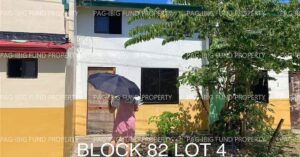 Pag-IBIG ROPA # 841202301130018 - Lot 04 Blk. 82 IRENEA ESTATES NAZARETH, GENERAL TINIO (PAPAYA), NUEVA ECIJA, 3104 - Negotiated Sale on Jul. 6, 2026 - Jul. 10, 2026