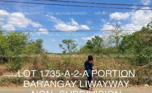 fil4020230329016