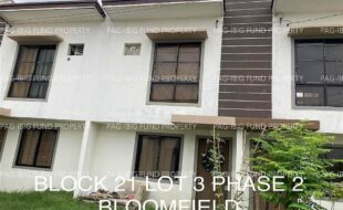 fil4020230429059