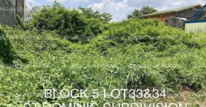 Pag-IBIG ROPA # 804019093000199 - Lot 33 & 34 Blk. 5 ST DOMINIC SUBDIVISION SAN PABLO, GUAGUA, PAMPANGA, 2003 - Negotiated Sale on Jul. 6, 2026 - Jul. 10, 2026