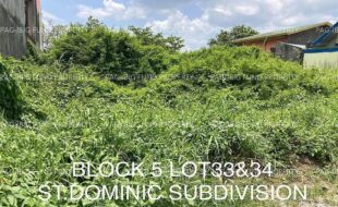 fil4020230429071