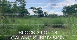 Pag-IBIG ROPA # 804121073100118 - Lot 18 Blk. 2 NON-SUBDIVISION PATALAC, CABANATUAN CITY, NUEVA ECIJA, 3100 - Negotiated Sale on Jul. 6, 2026 - Jul. 10, 2026