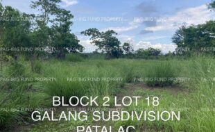 fil4020230603021