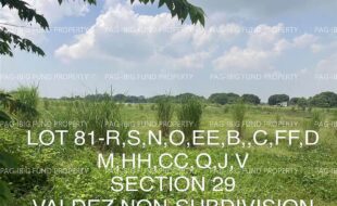 fil4020230608031