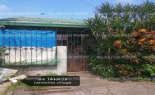 fil4020230710045