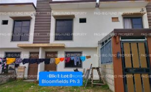 fil4020230821006