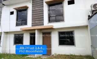 fil4020230821011