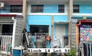 fil4020231006026