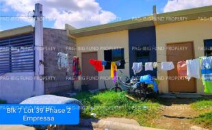 fil4020231030050