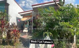 fil4020240111011