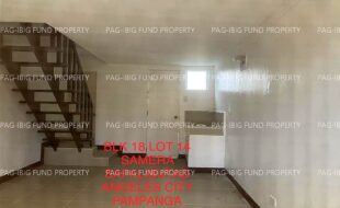 fil4020240115169